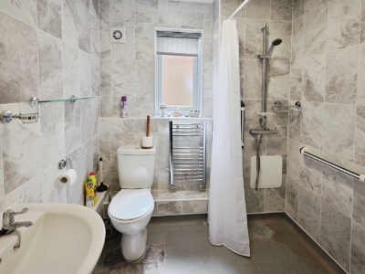 Picture 8